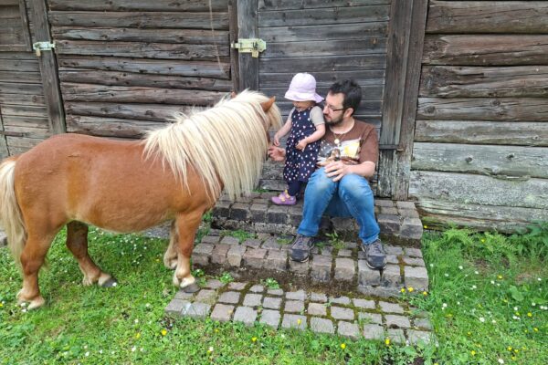 Forstnerwirt (4)